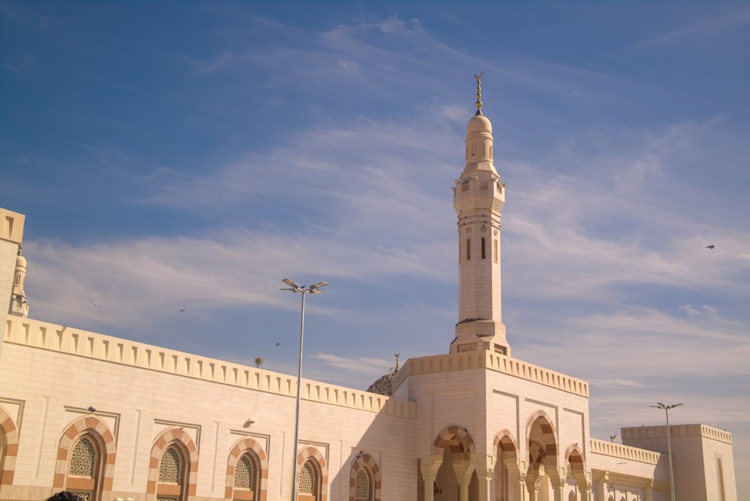 رحلة البحث عن تسويق الرياض الأفضل: قصة من الواقع